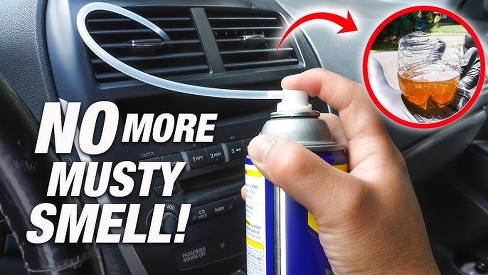 How to Get a Bad Smell Out of My Car