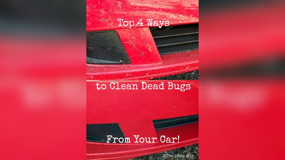 How to Get Dead Bugs off Front of Car