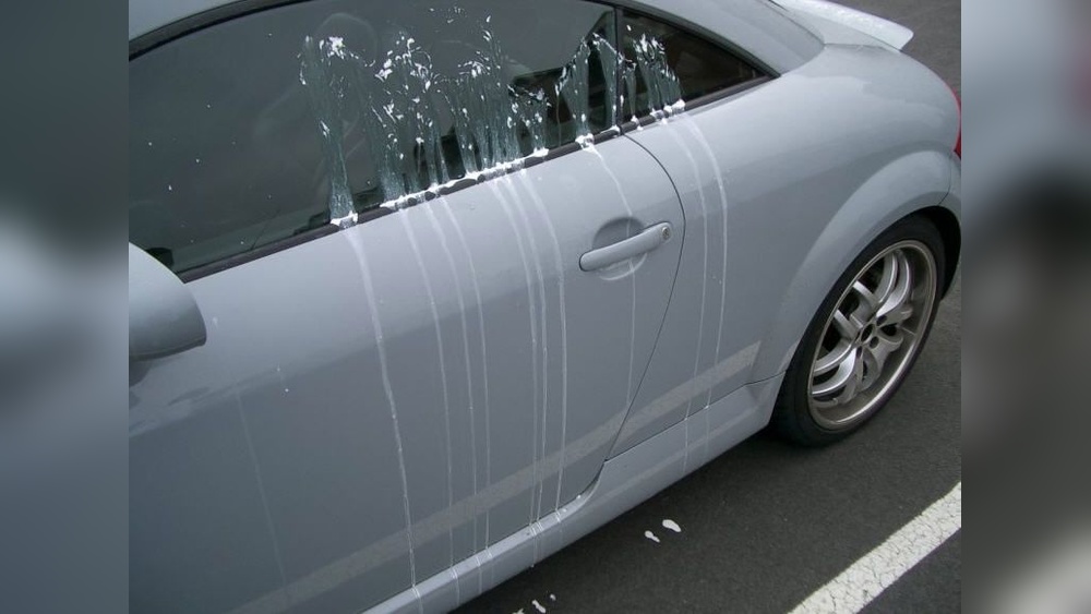 How to Get Egg off of Car