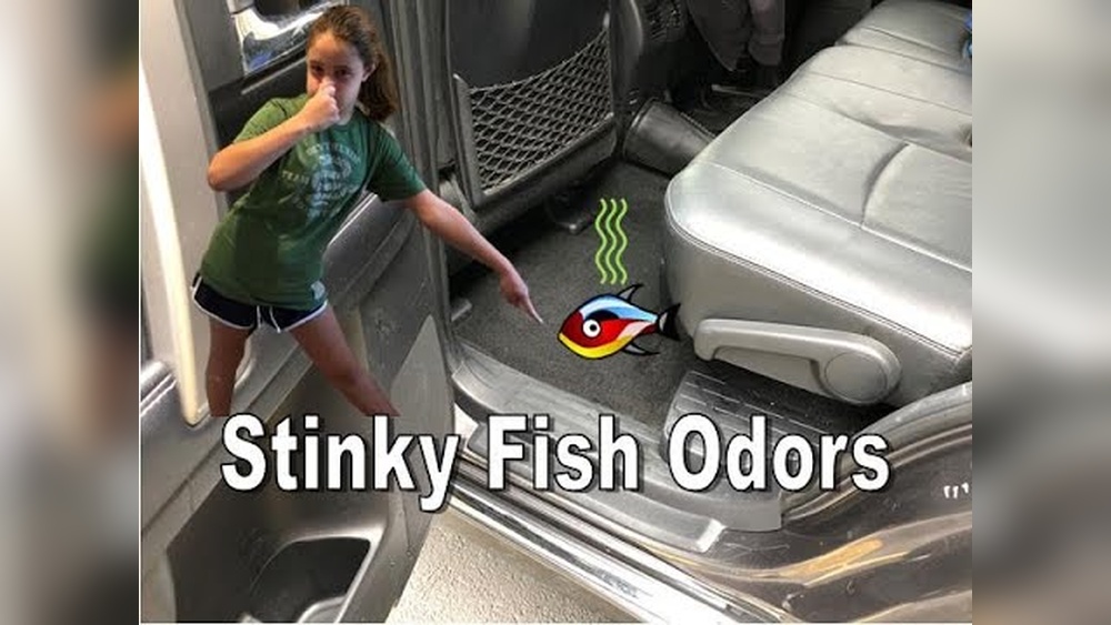 How to Get Rid of Fish Smell in Car