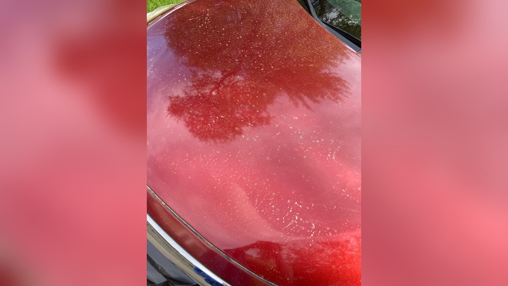 How to Get Water Spots off Vinyl Wrap